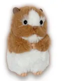 Meet Hadley: Your Charming Brown and White Syrian Hamster Companion