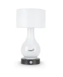 Ivation 6-LED Table Lamp, Battery Operated Motion Sensing Table Lamp with Multi Zone Light