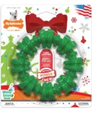 Textured Ring Power Chew Toy for Dogs, Dog Toys for Aggressive Chewers, Winter Green Flavor, Small Up to 25 lbs, 1 Count