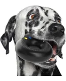 \u2014 Dog Toys for Aggressive Chewers | Virtually Indestructible Dog Toys for Medium Breeds Such as Pit Bulls | Heavy Duty Dog Toy | Black