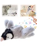 Cat Tunnel Bed, Cat Tunnels for Indoor Cats, Cat Donut Tunnel Toy with Washable Circle Cushion, Straight Shaped Tunnel, 4 Fluffy Balls, Blackout Tent, Self-Luminous Cat Toys（Grey）