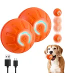 Cat Tunnel Bed, Cat Tunnels for Indoor Cats, Cat Donut Tunnel with Mat, Straight Tunnel, 4 Hanging Balls and Blackout Tent, Collapsible Peekaboo Cat Cave