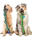 Dog Rope Toy for Medium Dogs, 2 Pack Heavy Duty Dog Chew Toys for Aggressive Chewers, Interactive Tug of War Dog Toys for Medium to Large Breed