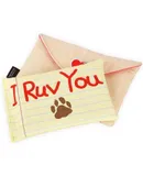 P.L.A.Y. Cute Plush Dog Toys Love Bug Valentine's Day Themed Durable Squeaker Chew Toy, Great for Puppies & Small, Medium, Large Dogs Machine Washable, Recycled Materials (Ruv Letter Love Note)