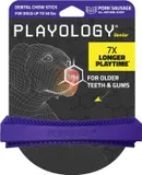 Silver Dental Chew Stick for Medium Senior Dogs up to 50lbs | Engaging All-Natural Pork Sausage Scented Dog Chew Toy | Non-Toxic Materials for Older Teeth