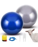 2 Pcs Herding Goat Ball Herding Ball for Dogs PVC Large Exercise Training Ball with Inflator Pump Herding Ball for Goats Dog Horse to Play Outdoor Entertainment Ball