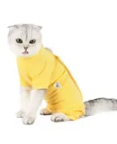 Cat Recovery Suit for Abdominal Wounds Skin Diseases After Surgery Pets Vest
