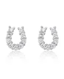 Lucky Horseshoe Earring Set