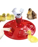 Poultry Drinker Trough for Ducks Chicks Turkeys Quails