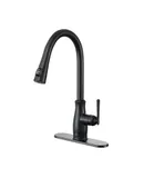 Pull Down Sprayer Kitchen Faucet with Digital Display and Deck Plate