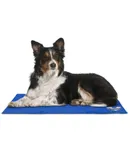 Arf Pets Dog Cooling Mat 19”x35”, Durable, Non-Toxic Gel Dog Bed Mat for Kennels, Crates & Beds