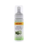 Refreshing Foaming Cleanser - Cucumber-Mint by Burts Bees for Unisex - 4.8 oz Cleanser