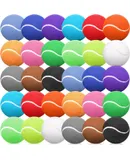30 Pieces Dog Tennis Balls Tennis Balls for Dogs Pet Tennis Ball Dog Balls Balls for Dogs Puppy Balls for Training Mini Tennis Ball Cat Toy Ball for Large Dogs and Medium Small Dogs 15 Colors