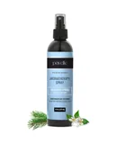 Pavelle 100% Natural Essential Oil Aromatherapy Concentrated Room Spray 8 fl.oz. - Mountain Spring