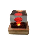 Mushroom Cloud Nuclear Explosion Lamp,Atomic Bomb Model Atmosphere Lamp Decoration Creative Gifts for Kids (Mushroom Cloud)