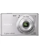 Sony Cyber-Shot DSC-W530 14.1 MP Digital Still Camera with Carl Zeiss Vario-Tessar 4x Wide-Angle Optical Zoom Lens and 2.7-inch LCD (Silver) (OLD MODEL)