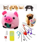Puptex Bouncing Piggy Dog Toy, Bouncing Piggy Interactive Dog Toy, Active Moving Pet Plush Toy Pig, Pig Plush Sound Electronic Dog Toy, Rechargeable Pet Bouncing Squeaky Dog Toys (B,Remote control)
