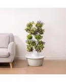 Hydroponic cultivation tower for herbs, fruit and vegetables with pump, adapter, net pots, timer