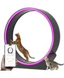 Interactive Cat Toys, Indoor Simulation Hunting Toys for Cats, Hunting Hood with Cat Ball
