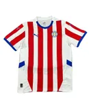 Men's Paraguay Home Away Soccer Jersey Player Version Copa America 2024