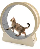 Cat Toys, 2 in1 Automatic Interactive Cat Toys for Indoor Cats, 4 Holes Mice Whack a Mole Cat Mouse Toy with Moving Feather, Rechargeable USB Power Kitten Feather Toys for All Breeds (Blue)