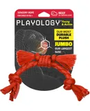 Puppy Rope Dog Toy for Sensory Development | Engaging All-Natural Beef Scented Medium Sized Interactive Tug & Chew Dog Toy for Puppies up to 50 lbs