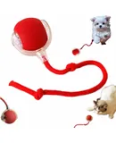 Dog Food Mat, Safety Silicone Cat Food Mat for Feeder & Fountain, Waterproof Dog Bowl Mats, Raised Edge Spill Protection Floor, Cove Feeding Mat for Pet (Coral, 22'' x 16.5'')