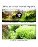 Aquarium DIY CO2 Generator System Kit CO2 Generator System with Solenoid Valve Bubble Diffuser Carbon Dioxide Reactor Kit for Plants Aquarium