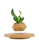 Levitating Plant Pot - Floating Plant Pot for Small Plants. Levitating Decor for Home & Office Magnetic Floating Levitating Display (Wood)