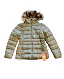 The North Face Women's Gotham Ii Jacket In New Taupe Green