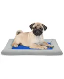 Arf Pets Self Dog Cooling Mat, Solid Gel Based Pet Cooling Mat with Foam Based Bolster Bed - 22"x30"
