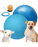 Herding Ball for Dogs, 30