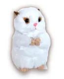 Syrian hamster! With her charming color patterns and endearing size, Hadley is a pocket-sized pet companion that will capture your heart.