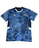 Men's Paraguay Home Away Soccer Jersey Player Version Copa America 2024