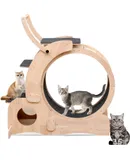 Upgraded Interactive Cat Toy for Indoor Cats, Cat Feather Toy Treadmill for Bored Kitten Puppy Play Chase Run Exercise Mental Stimulation, Auto/Manual Control DIY Mouse Hunting Toy-Sky Blue