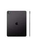 Apple 13