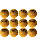 Squeak Tennis Ball Dog Toys | 12 Pack Medium (2.5