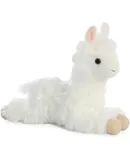 Aurora World Inc. 31767 8