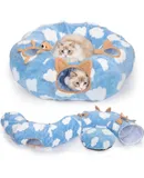 Interactive Cat Toy for Indoor Cats, Wicked Snail, [2024 Upgraded] Kitten Toys, Automatic Cat Toy with LED Lights, DC Rechargeable Moving Cat Toy, Smart Sensing Electric Cat Toy (Blue)