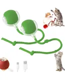 2PC Interactive Dog Toys,Interactive Dog Ball Electric Dog Ball Toy Rollie Pet Cat Toy Interactive Rolling Ball Cat Toy 360° Automatic Rolling Toy Ball for Dog/Cat (Green+Green)