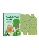 Jaysuing Wormwood Joint Rheumatoid Arthritises Pain Reliefs Shoulder and Neck Massage Body Care Patches Neck Shoulder Patch 10PCS/Box