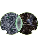 BOSCH Automotive Air Conditioning Filter Element 5089 Ford Edge/Mazda 8 (2011/2013/2015 Models)