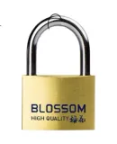 BLOSSOM Master Key Padlock 074-1, Combination Lock, One Key Opens Multiple Locks, for Computer Cases, Electric Meter Boxes, Cabinet Doors, 35mm