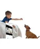 TP-LINK (TP-LINK), 4 Million Pixel Wireless Surveillance Camera, High-Definition Infrared Night Vision, WiFi Remote Two-Way Audio And Light Alarm, Home Smart Network Camera TL-IPC14CH