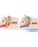 3M Snoring Mouth Tape for Infants and Children, Mouth Sealing Tape for Preventing Mouth Breathing During Sleep, Medical Grade Silicone Pressure Sensitive Adhesive Tape