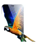 UGREEN Tempered Glass Screen Protector for IPhone 12 Pro Max, Ultra-Thin HD Anti-Fingerprint Anti-Drop Film with Earpiece Dust Prevention Mesh - 2 Pack