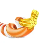 UGREEN CAT7 Pure Copper Ethernet Cable, Gigabit Shielded Network Connection Cable for ROG Home Computer Broadband, Compatible with 2.5G, Gaming E-Sports Patch Cord, 0.5 Meter, 11229