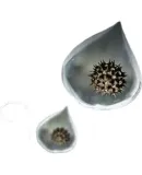 PHILIPS (PHILIPS) Humidifier Filter, Official Genuine Product FY2425/00, Compatible with PHILIPS Integrated Purification And Humidification Machine AC2726/00 Accessories