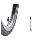 Zhengxin Bicycle Inner Tube, 20X1.35, FV Presta Valve, 60MM, for City Folding Bikes And Outdoor Cycling