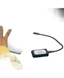 Kingston 500GB Type-C USB3.2 Portable Solid State Drive (PSSD) XS2000 High-Speed Read/Write 2000MB/s IP55 Grade Triple Protection Mobile Phone Direct Connectio